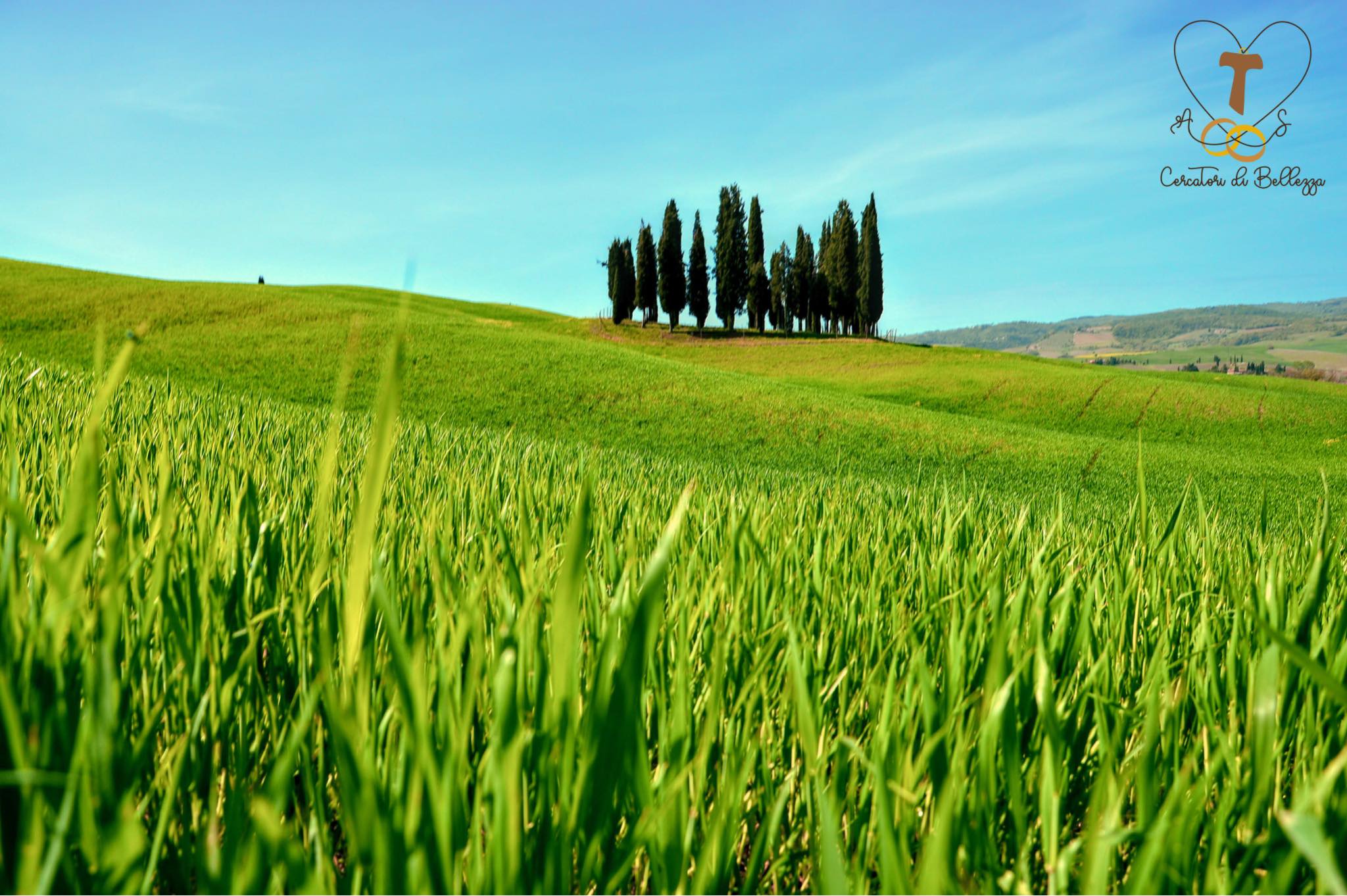 foto di famiglia - cercatori di bellezza